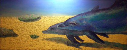 Дельфины мира