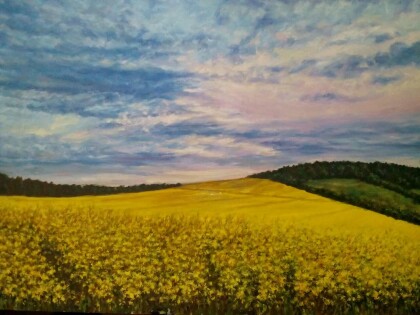 Следы на лугу