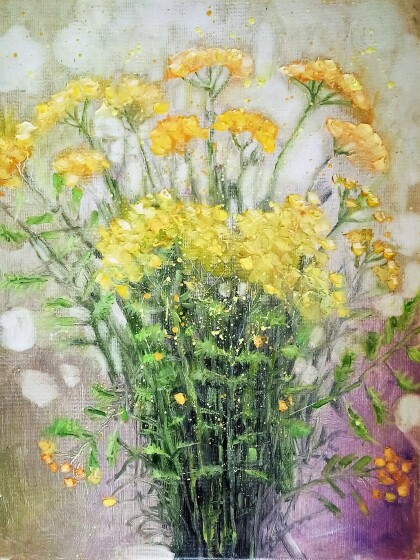 пижма цветет