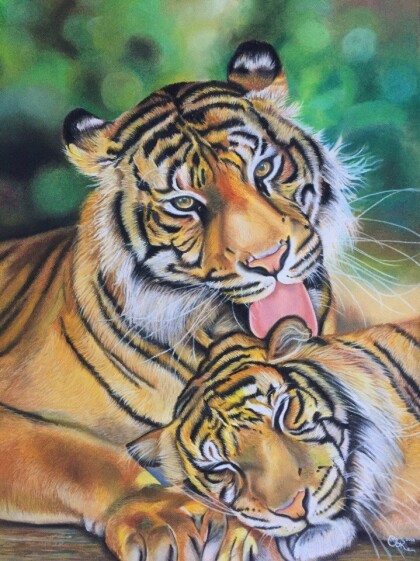 "Тигриная любовь"
