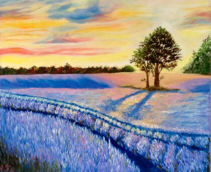 Лавандовые поля