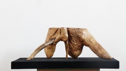 Пять чувств.