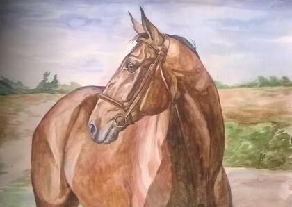 Голова лошади