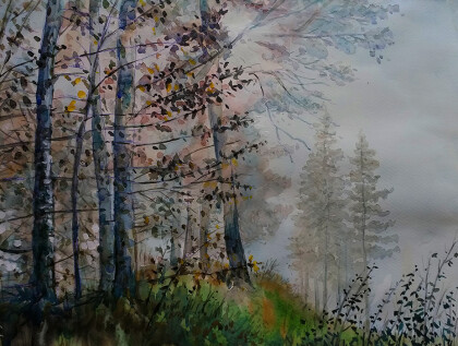 Туман над лесом