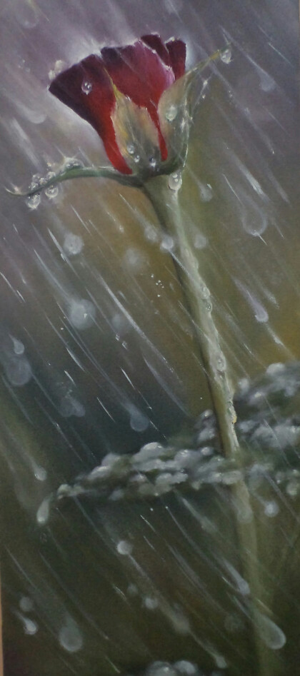 Одинокая роза