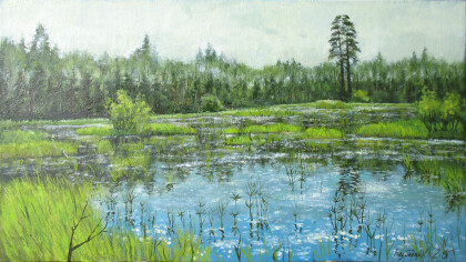 Пух на воде