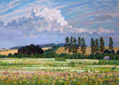 На Навлинских просторах.