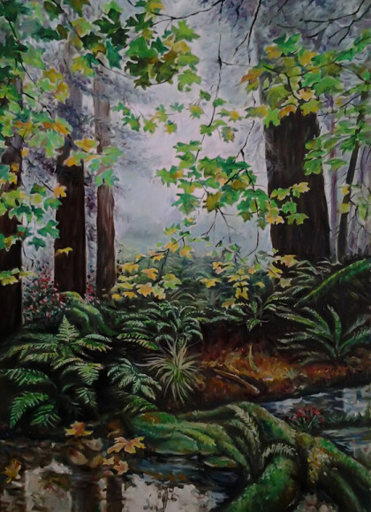 берег лесного ручья