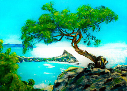 Сосна. Крым.