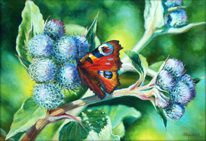 Ночная красавица и лопух