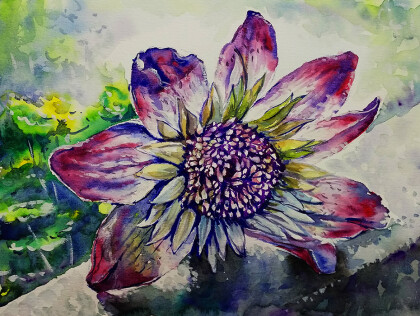 Нарушитель границы сада