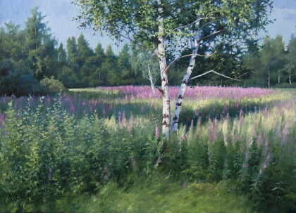 Иван-чай. Скоро уж отцветёт.