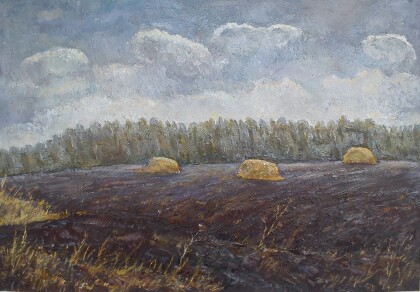 Поле перед дождем