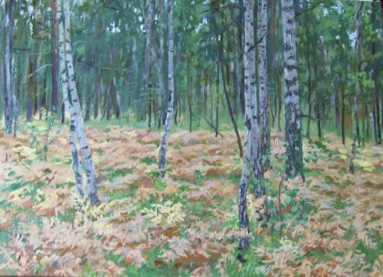 Березы и сухой папоротник.