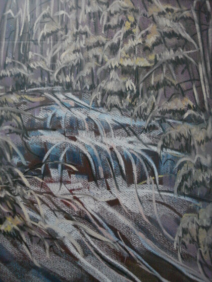 лесной ручей