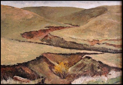 Овраг, ивушка.