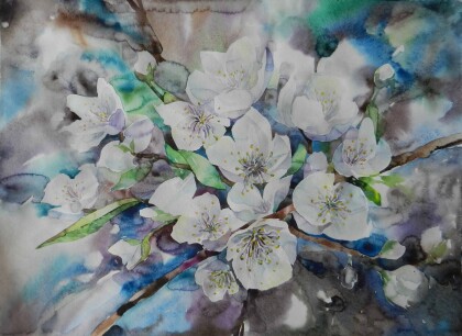 Цветущая яблоня