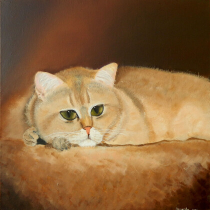 Ленивый рыжий кот