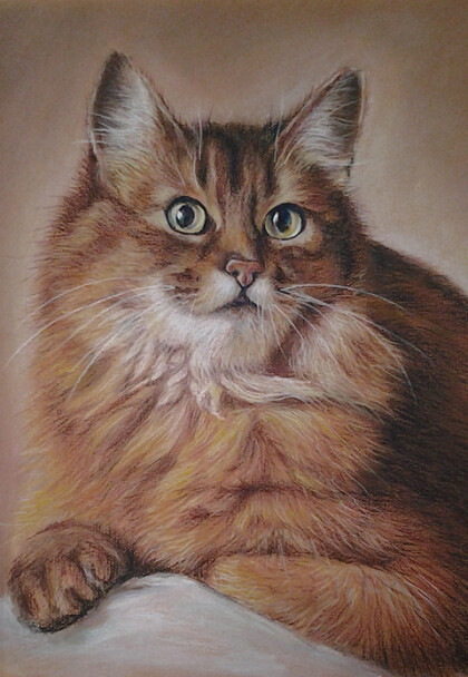 внимательный рыжий