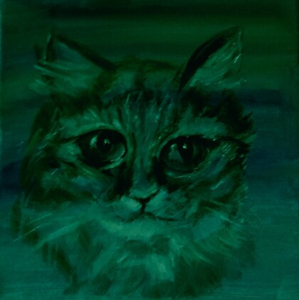 Кошки - 3 ( Мурка )