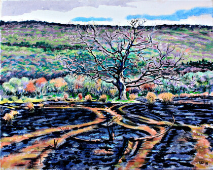 После пожара в горах (1).