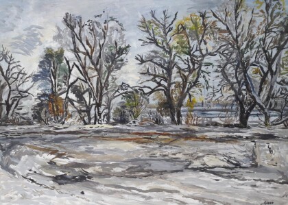 г. Краснодар.Зимний пейзаж на реке Кубань № 1