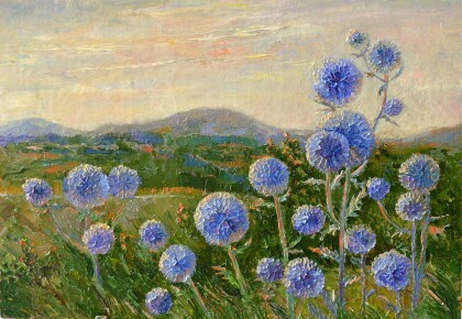 Синие шарики