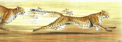 "Как пружина"