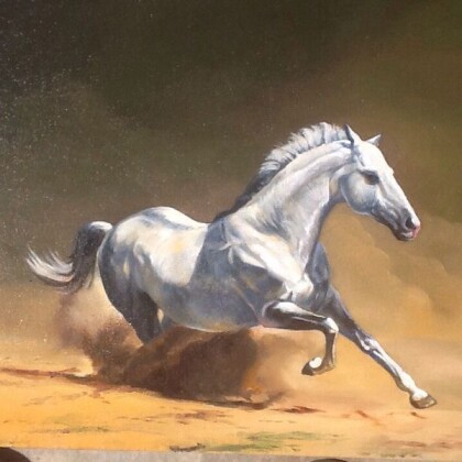 Белая лошадь