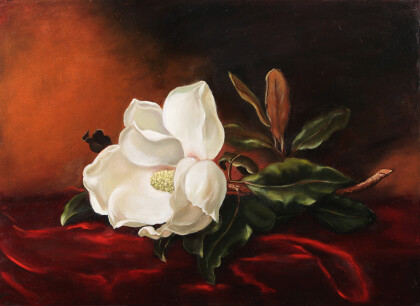 Копия Мартин Джонсон Хед Магнолия на красном бархате