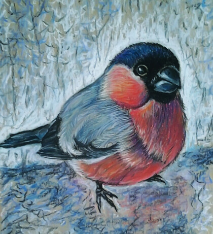 любопытный