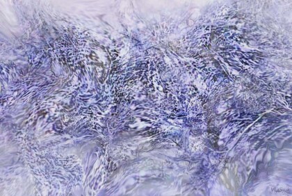 Новогодний вихрь