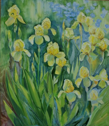 Ирисы