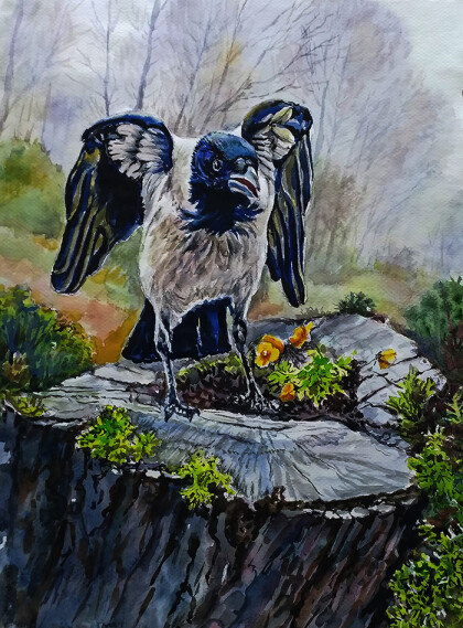 Лесной санинспектор