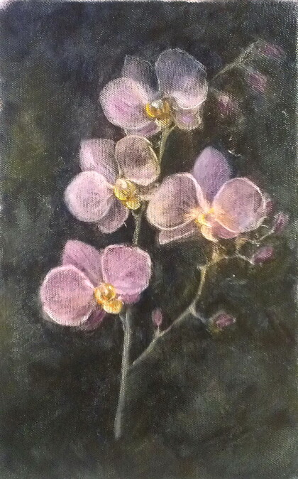 Веточка орхидеи