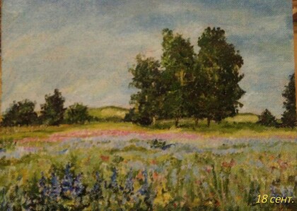 Цветочное поле