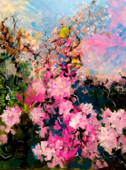 Розовые мечты