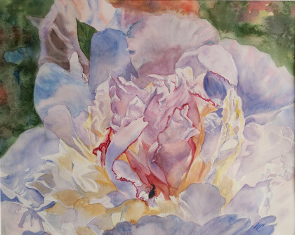 Белый пион и муравей