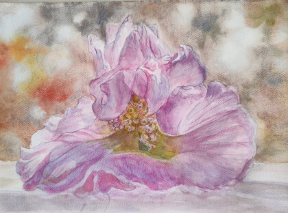 Цветок гибискуса