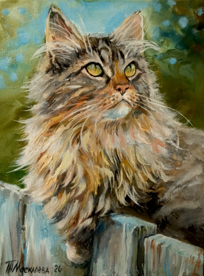 Не принцесса