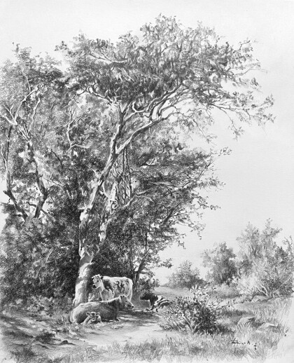 Летняя прохлада