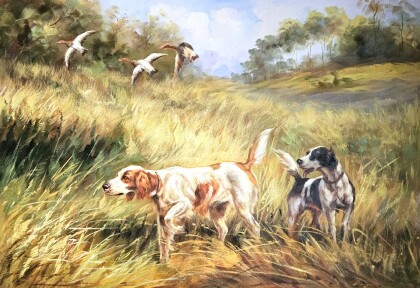 Охота на уток