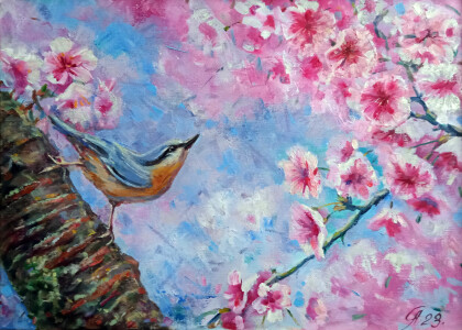 На цветущей сакуре