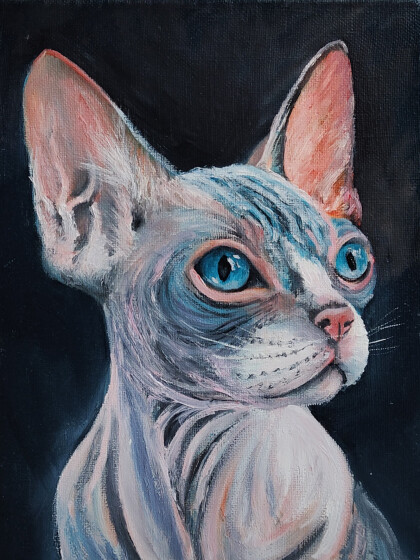 Канадский сфинкс