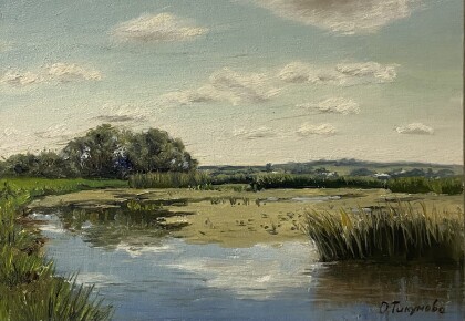 Пруд близ деревни Руново