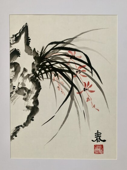 Цветение дикой орхидеи ранней весной