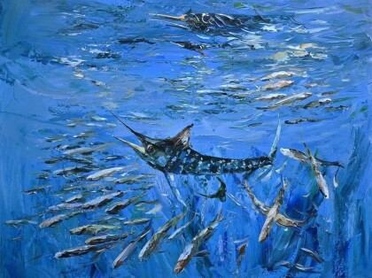 Герой морских глубин. Атлантический голубой марлин