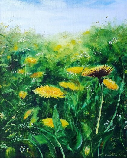 Одуванчики