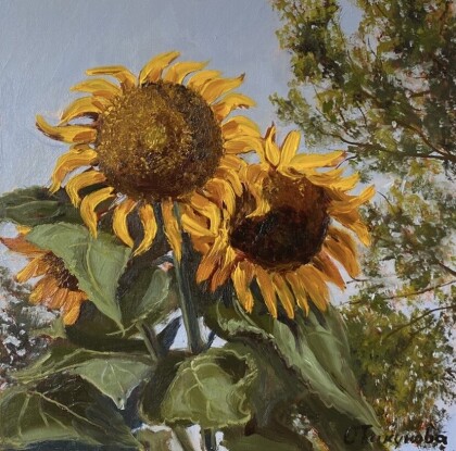 Подсолнухи