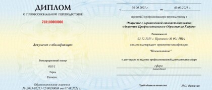 Фото примера диплома художника